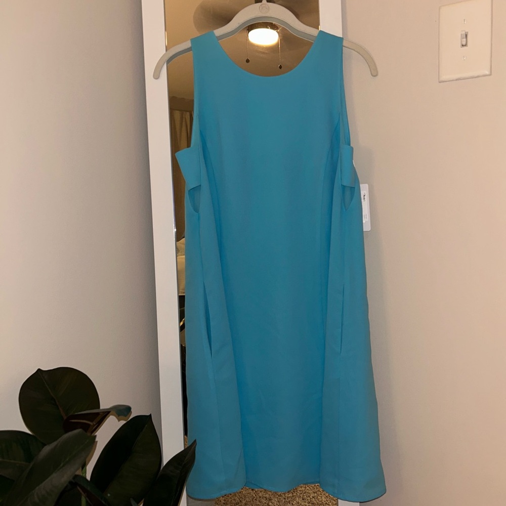 CROSBY by Mollie Burch Sleeveless Dress